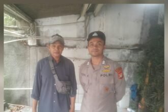 IMG 20261012 WA0379