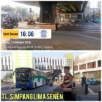 IMG 20261015 WA0174