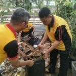 IMG 20261017 WA0118